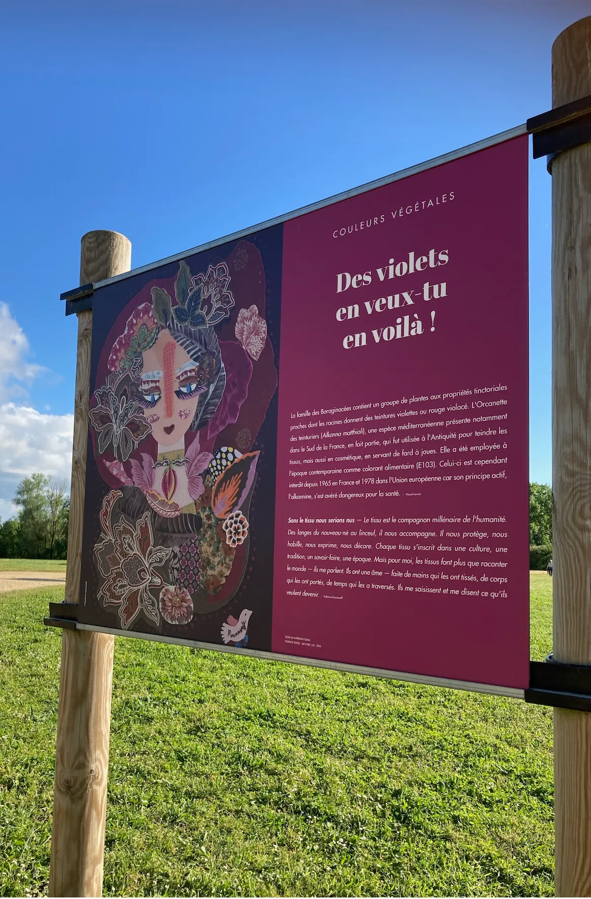 Portraits en parures végétales — extérieur, panneau Des violets en situation